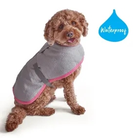 1 Pet X Kazoo Dog Rug Active Adventure Silver & Pink
