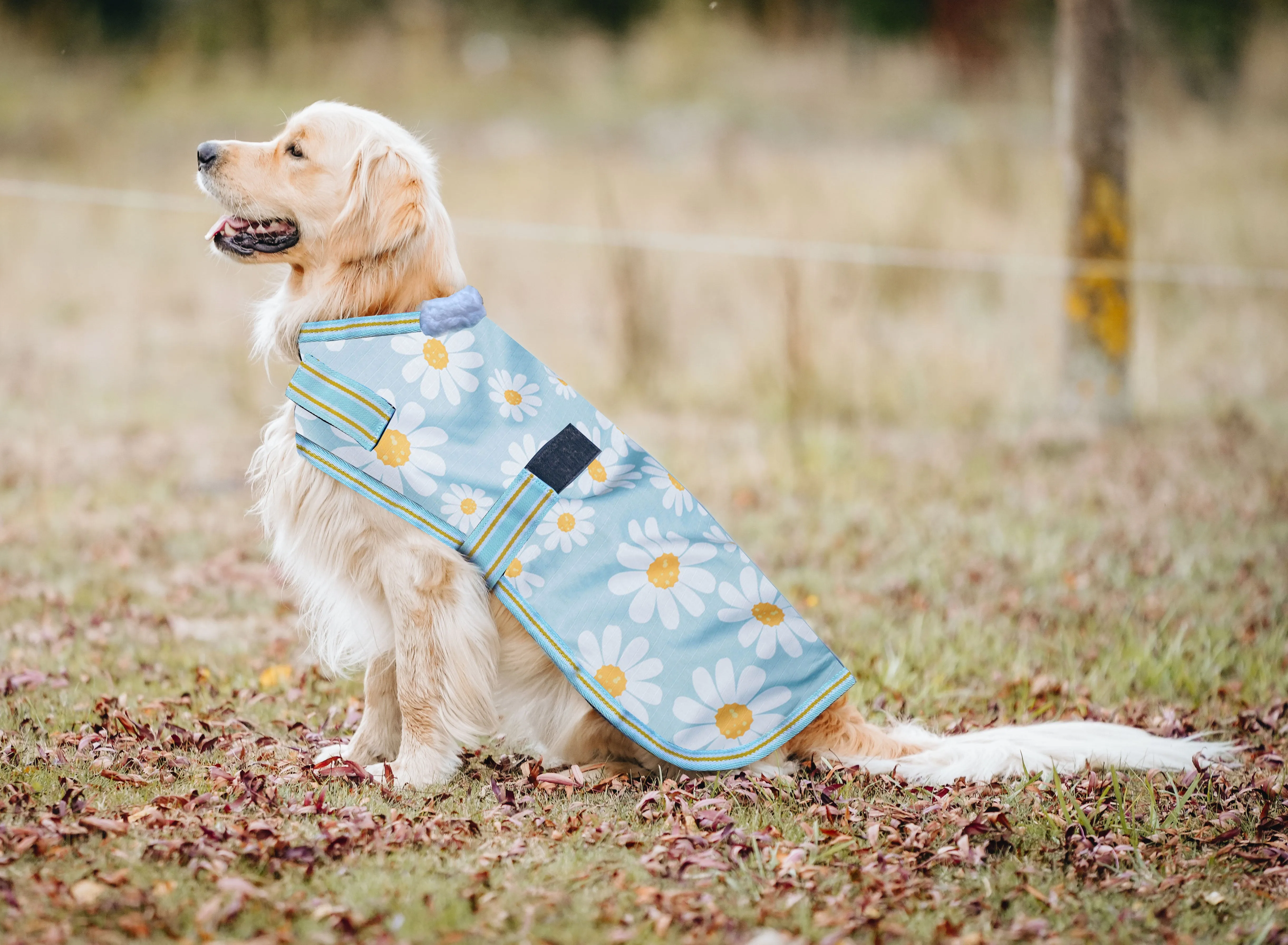 1200D 100g Dog Coats – Prints - 2022 Stock Clearance