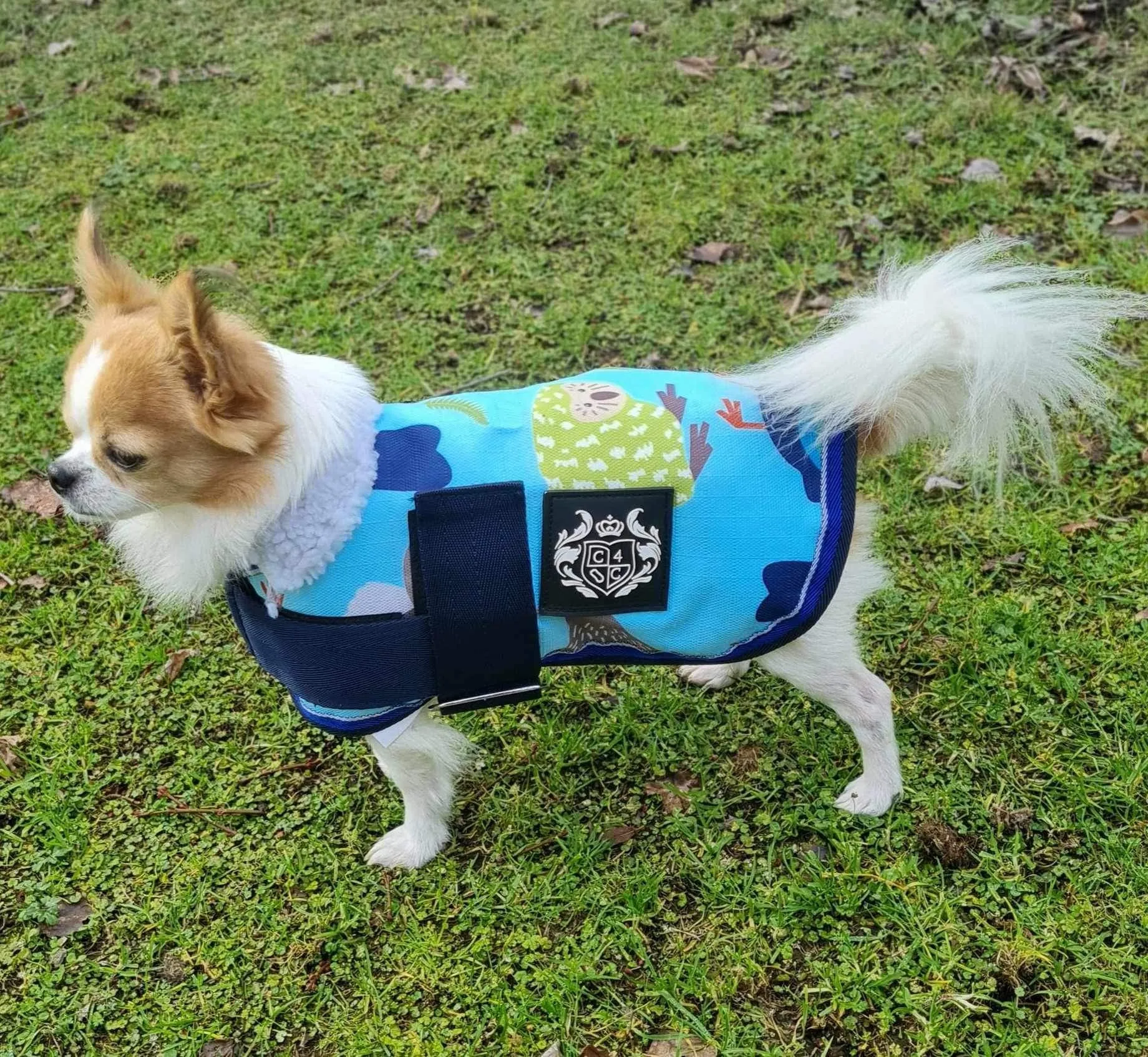 1200D 100g Dog Coats – Prints - 2022 Stock Clearance