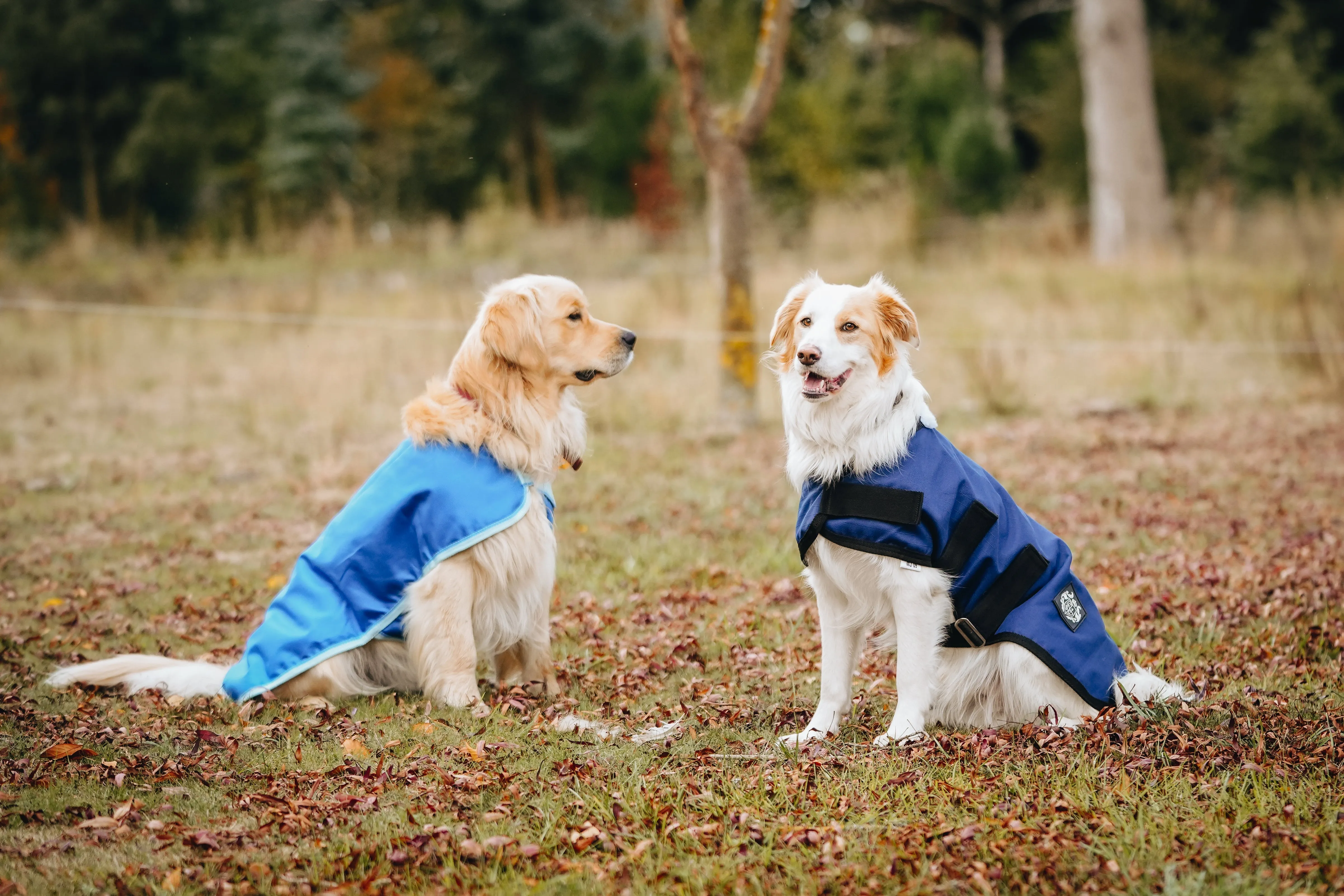 1200D 100g Dog Coats – Solid colours - 2022 Stock Clearance