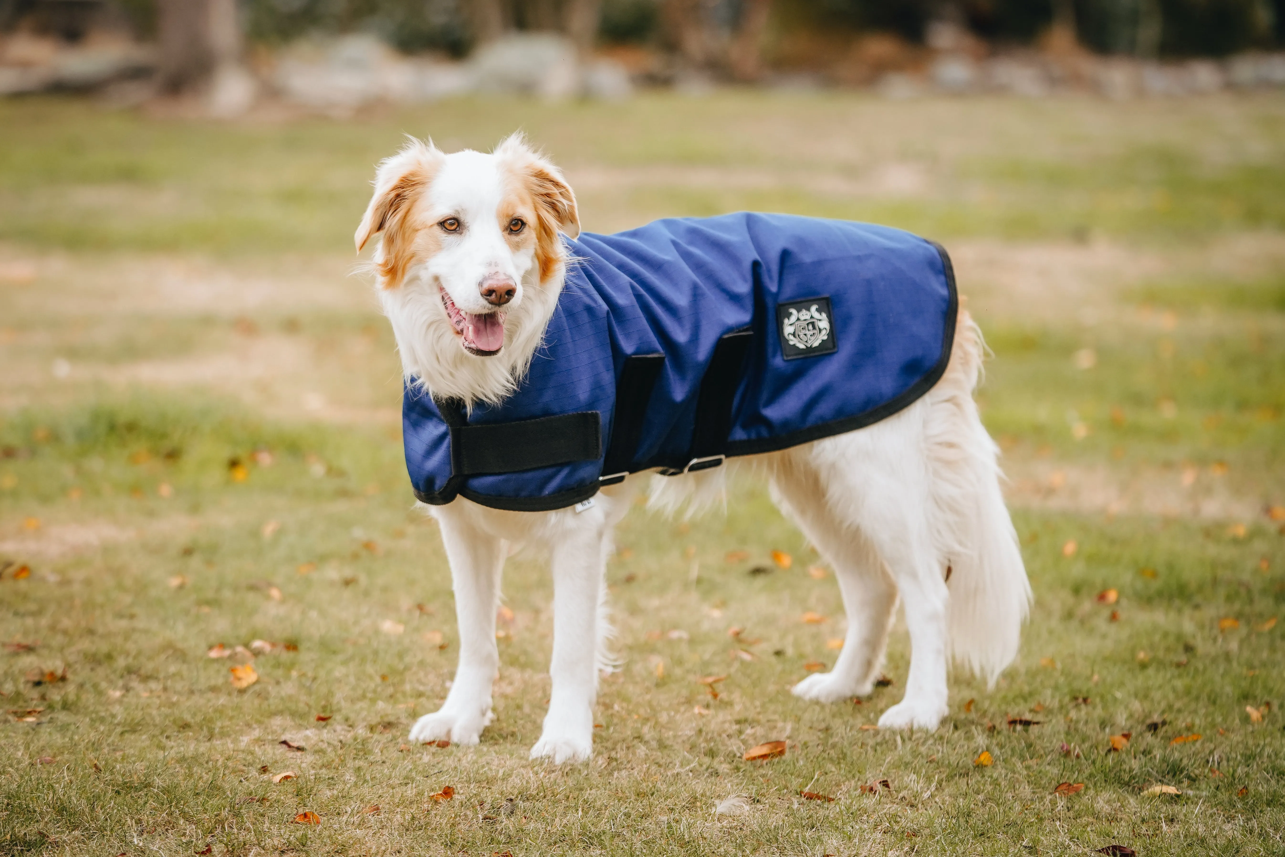 1200D 100g Dog Coats – Solid colours - 2022 Stock Clearance