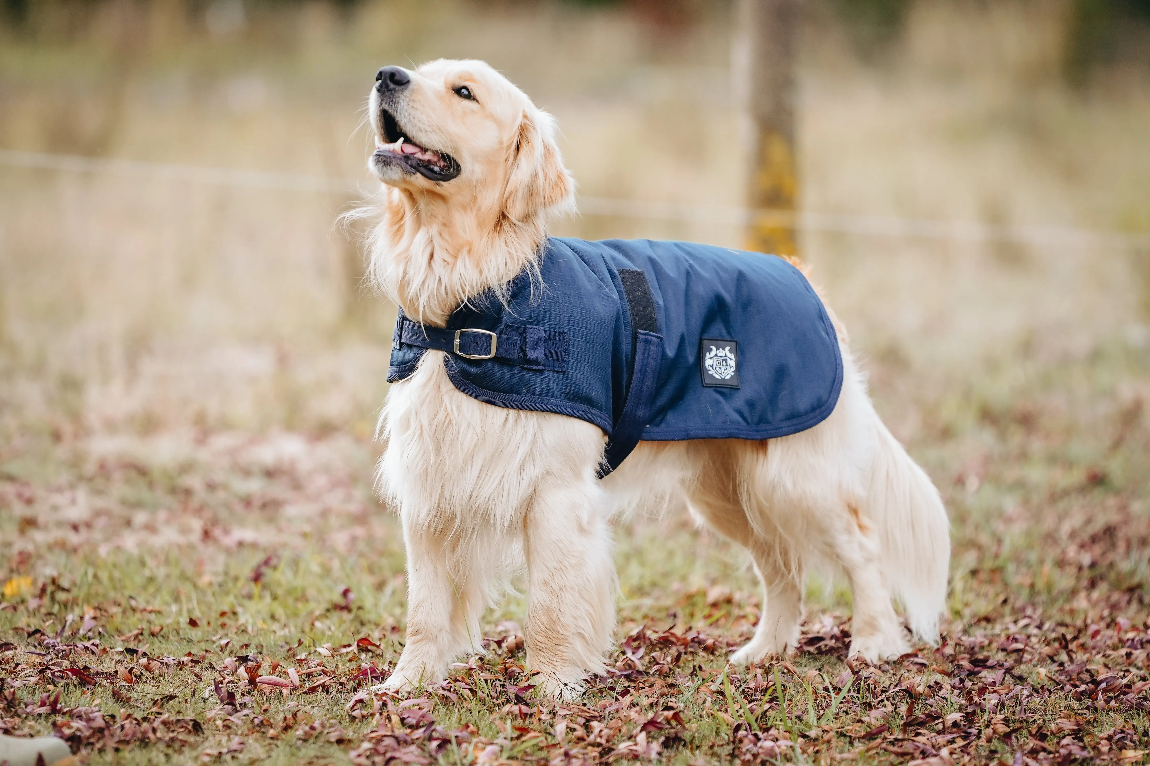 1200D 100g Dog Coats – Solid colours - 2022 Stock Clearance