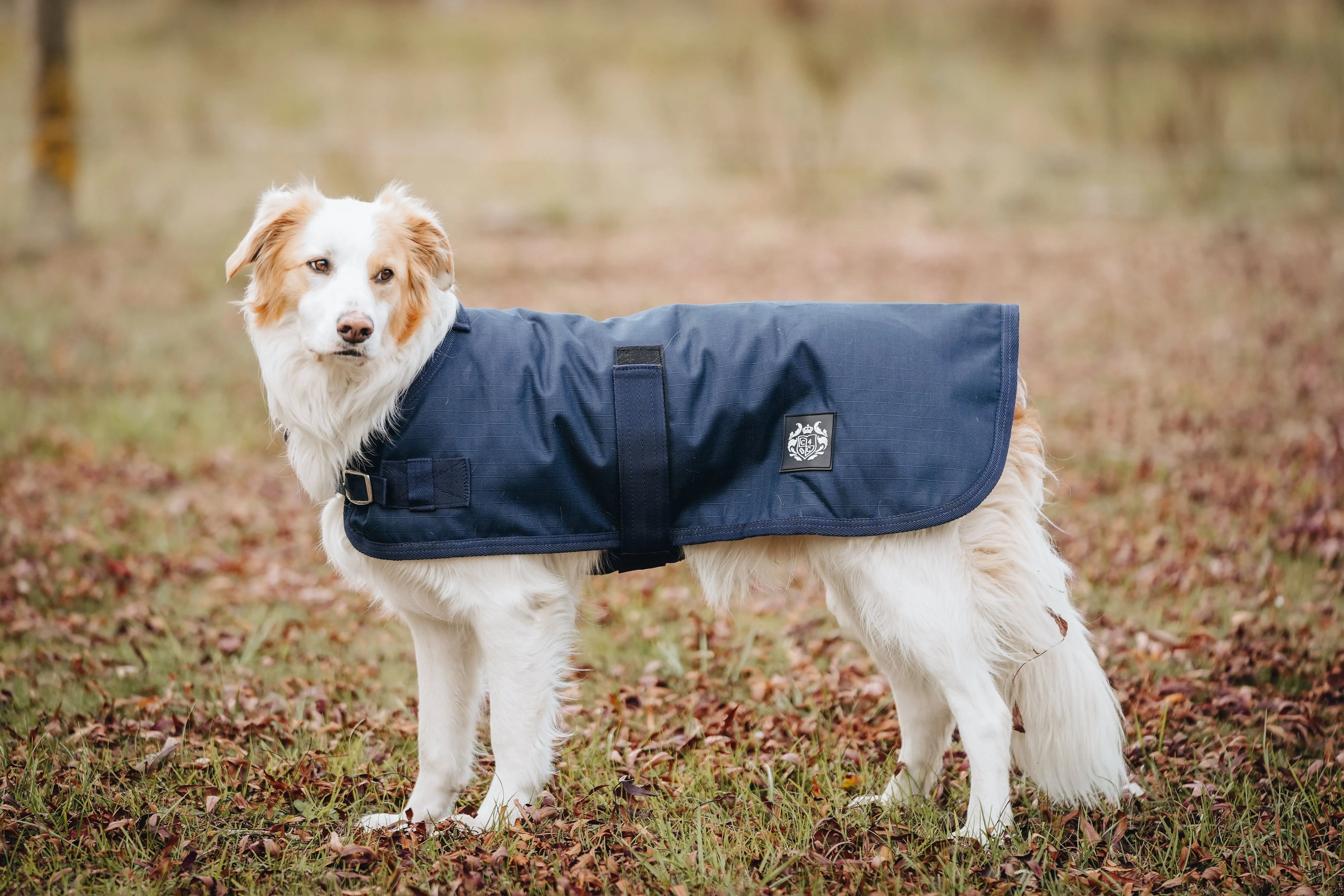 1200D 100g Dog Coats – Solid colours - 2022 Stock Clearance