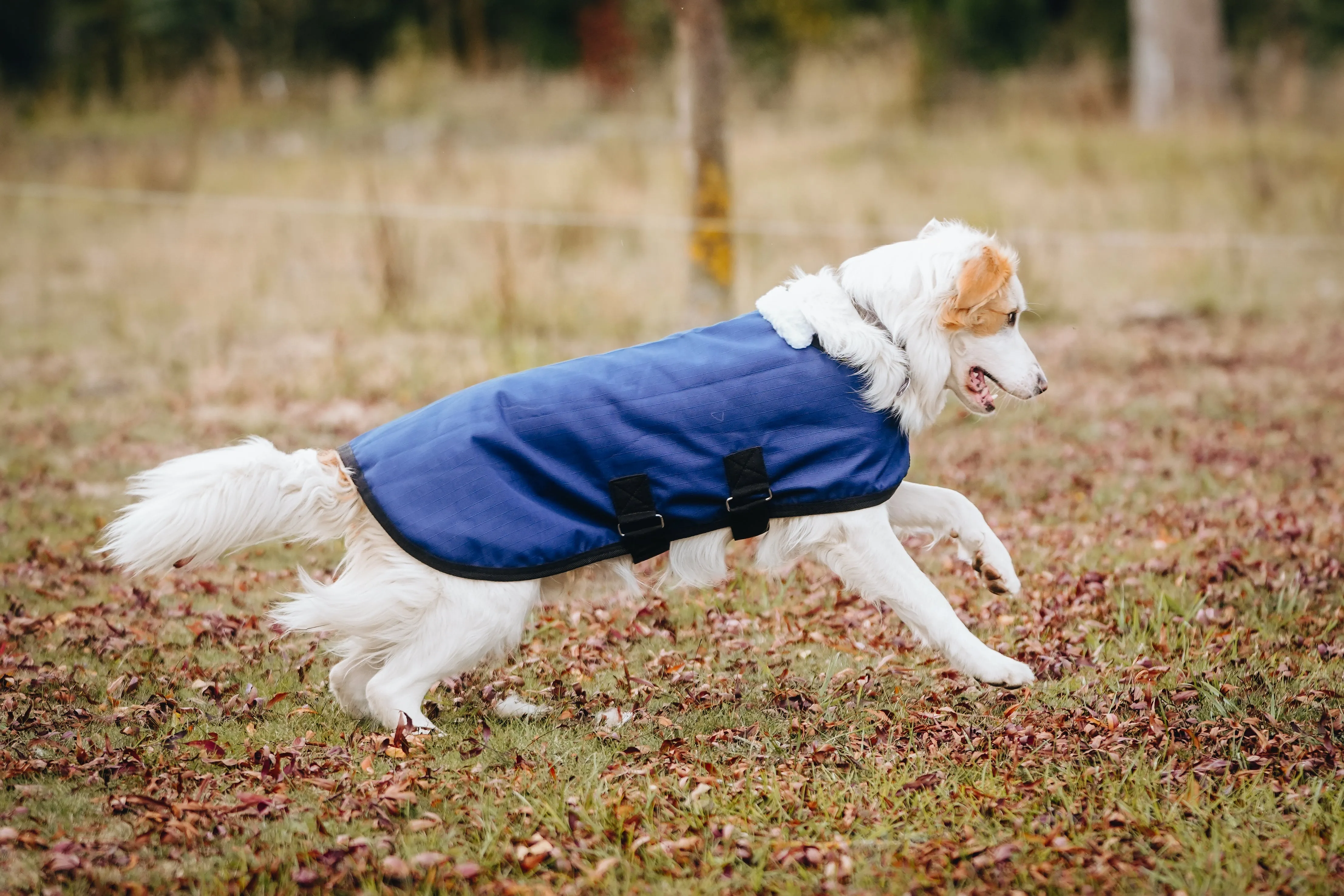 1200D 100g Dog Coats – Solid colours - 2022 Stock Clearance
