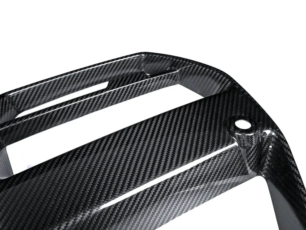 Autotecknic Grill BMW M4 G82/G83 (21-24) [Motorsport V1] Dry Carbon Fiber