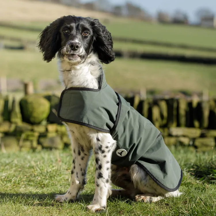 Dog and Field 2-in-1 Waterproof Drying Dog Coat