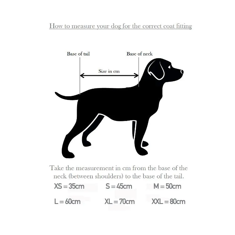 Dog and Field 2-in-1 Waterproof Drying Dog Coat
