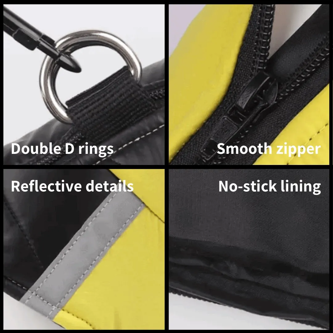 Leash-Ready Two-Color Vest