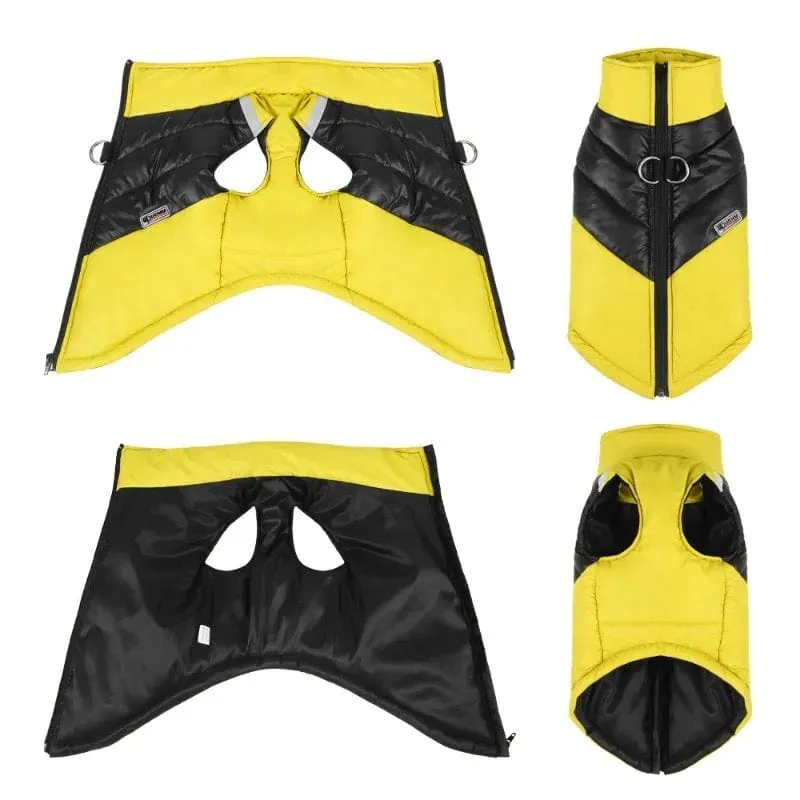 Leash-Ready Two-Color Vest