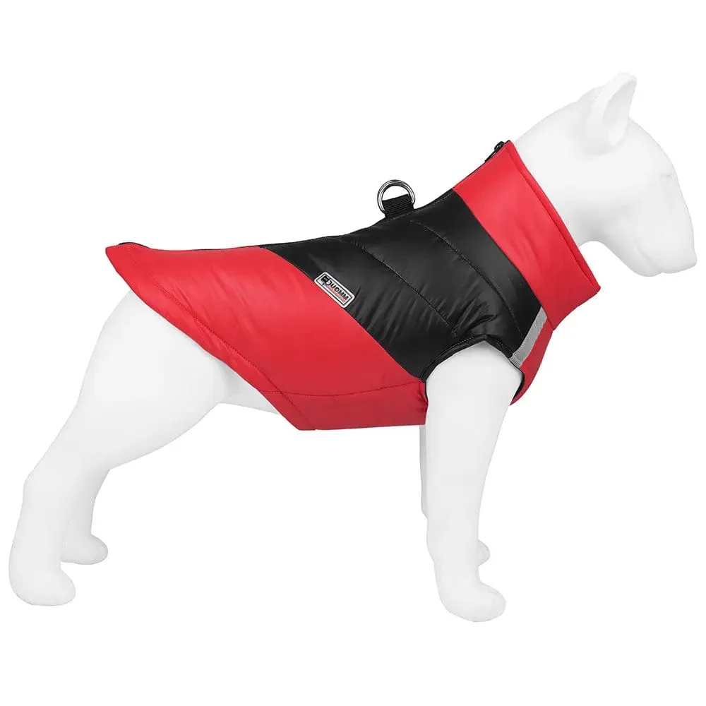 Leash-Ready Two-Color Vest
