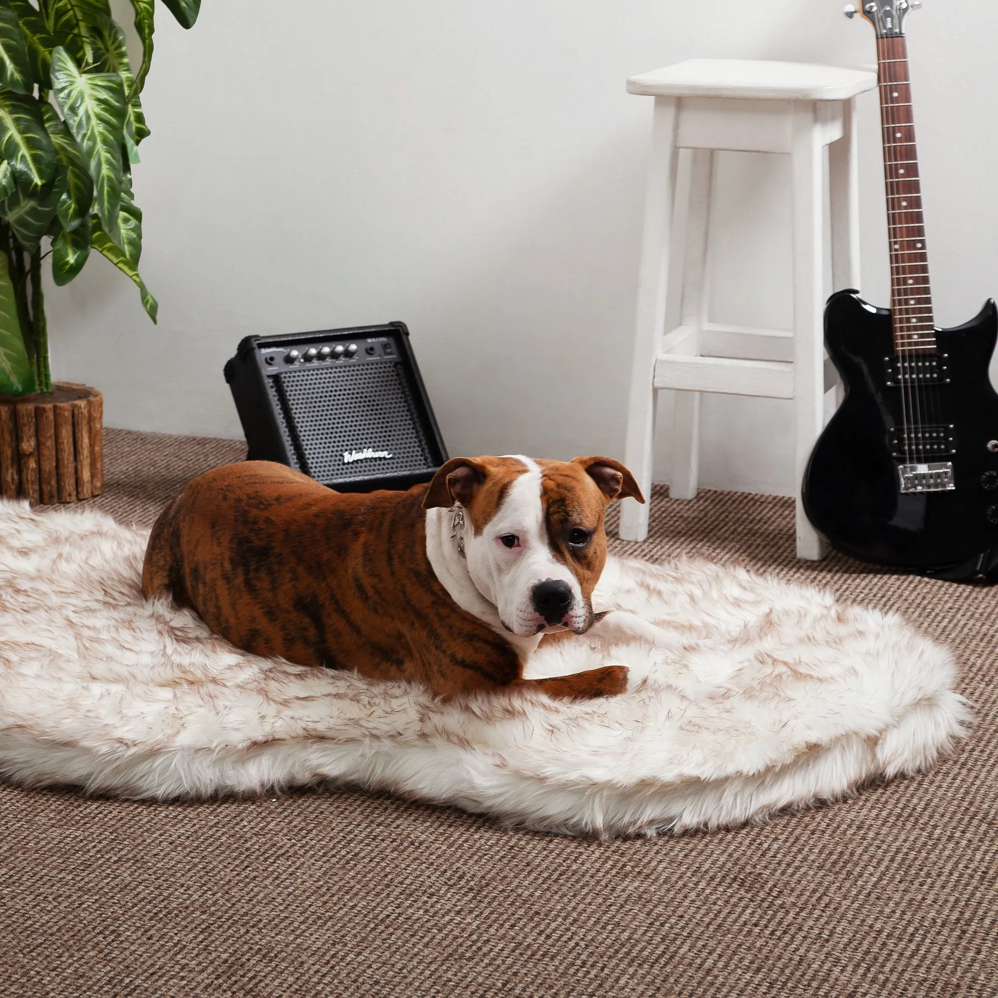 Luxury Faux Fur Orthopedic Dog Bed, Memory Foam Dog Bed for Small, Medium, Large and XL Pets, Fluffy Pet Rug with Waterproof and Washable Soft Cover