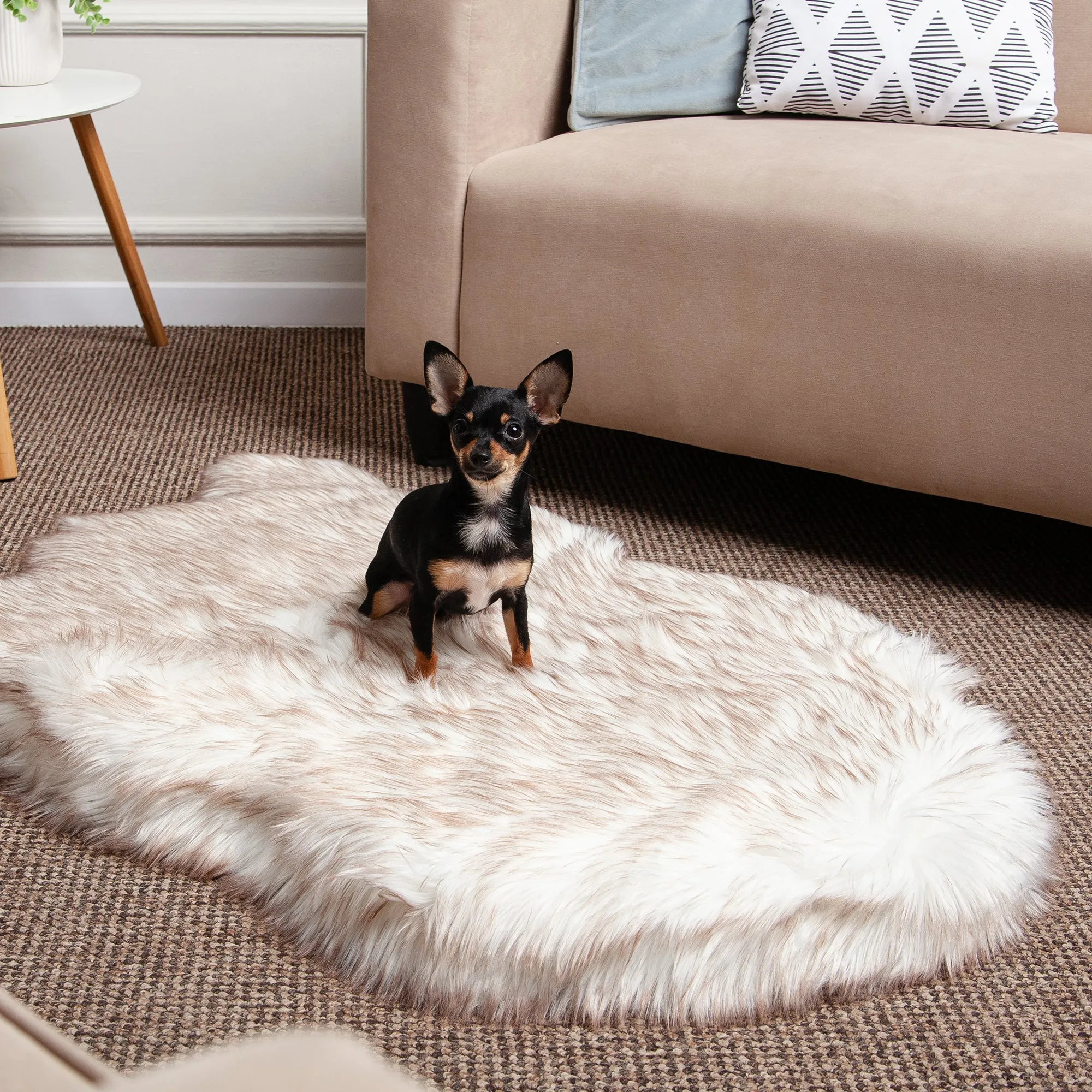 Luxury Faux Fur Orthopedic Dog Bed, Memory Foam Dog Bed for Small, Medium, Large and XL Pets, Fluffy Pet Rug with Waterproof and Washable Soft Cover