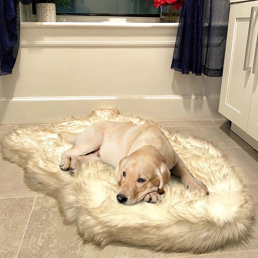 Luxury Faux Fur Orthopedic Dog Bed, Memory Foam Dog Bed for Small, Medium, Large and XL Pets, Fluffy Pet Rug with Waterproof and Washable Soft Cover
