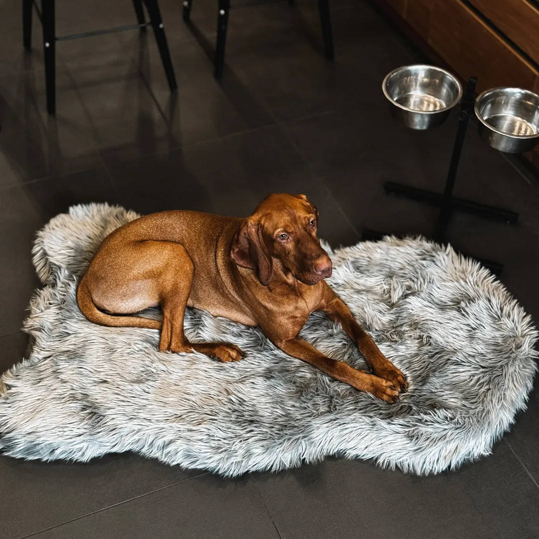Luxury Faux Fur Orthopedic Dog Bed, Memory Foam Dog Bed for Small, Medium, Large and XL Pets, Fluffy Pet Rug with Waterproof and Washable Soft Cover