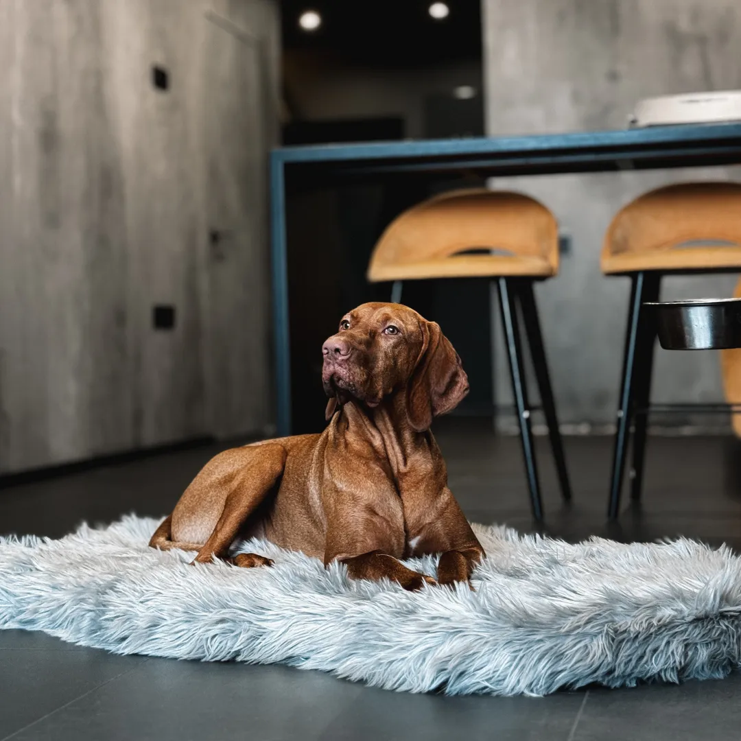 Luxury Faux Fur Orthopedic Dog Bed, Memory Foam Dog Bed for Small, Medium, Large and XL Pets, Fluffy Pet Rug with Waterproof and Washable Soft Cover