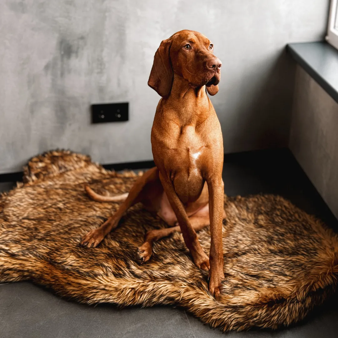 Luxury Faux Fur Orthopedic Dog Bed, Memory Foam Dog Bed for Small, Medium, Large and XL Pets, Fluffy Pet Rug with Waterproof and Washable Soft Cover
