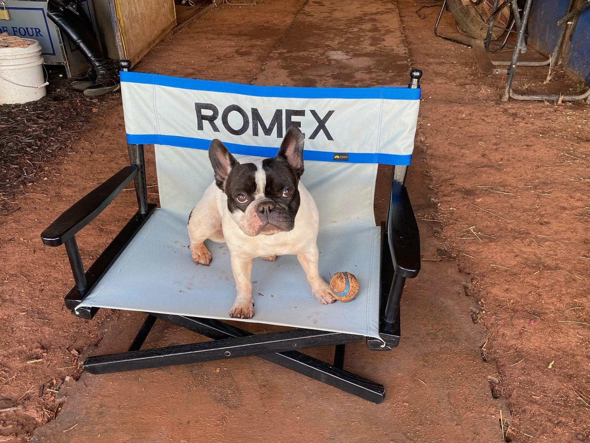 Pet Personalized Director's Chair