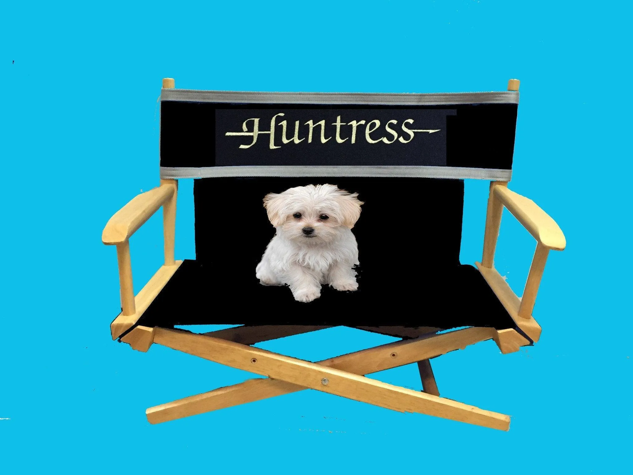Pet Personalized Director's Chair