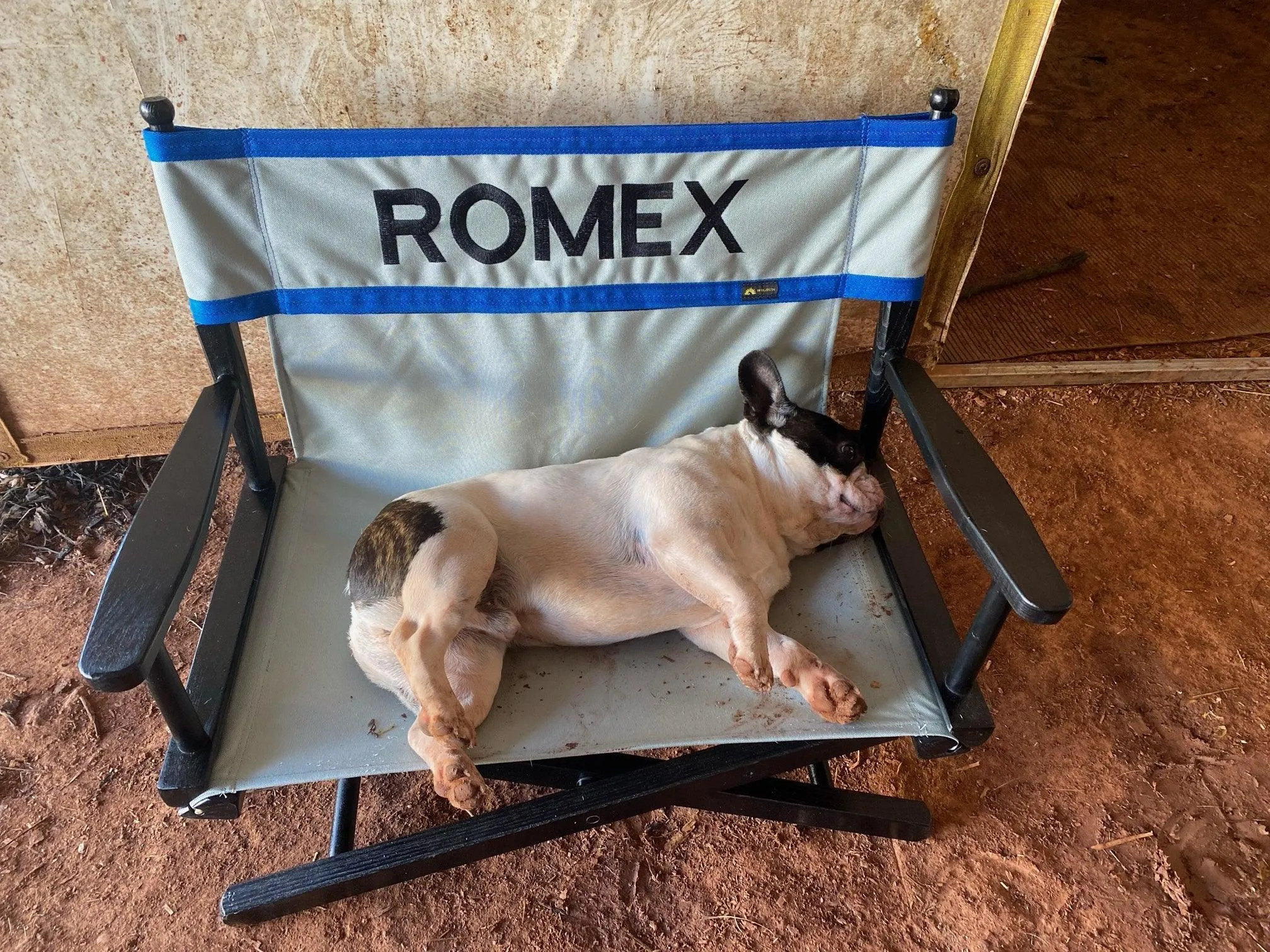 Pet Personalized Director's Chair