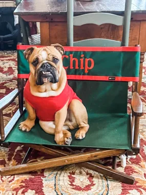 Pet Personalized Director's Chair