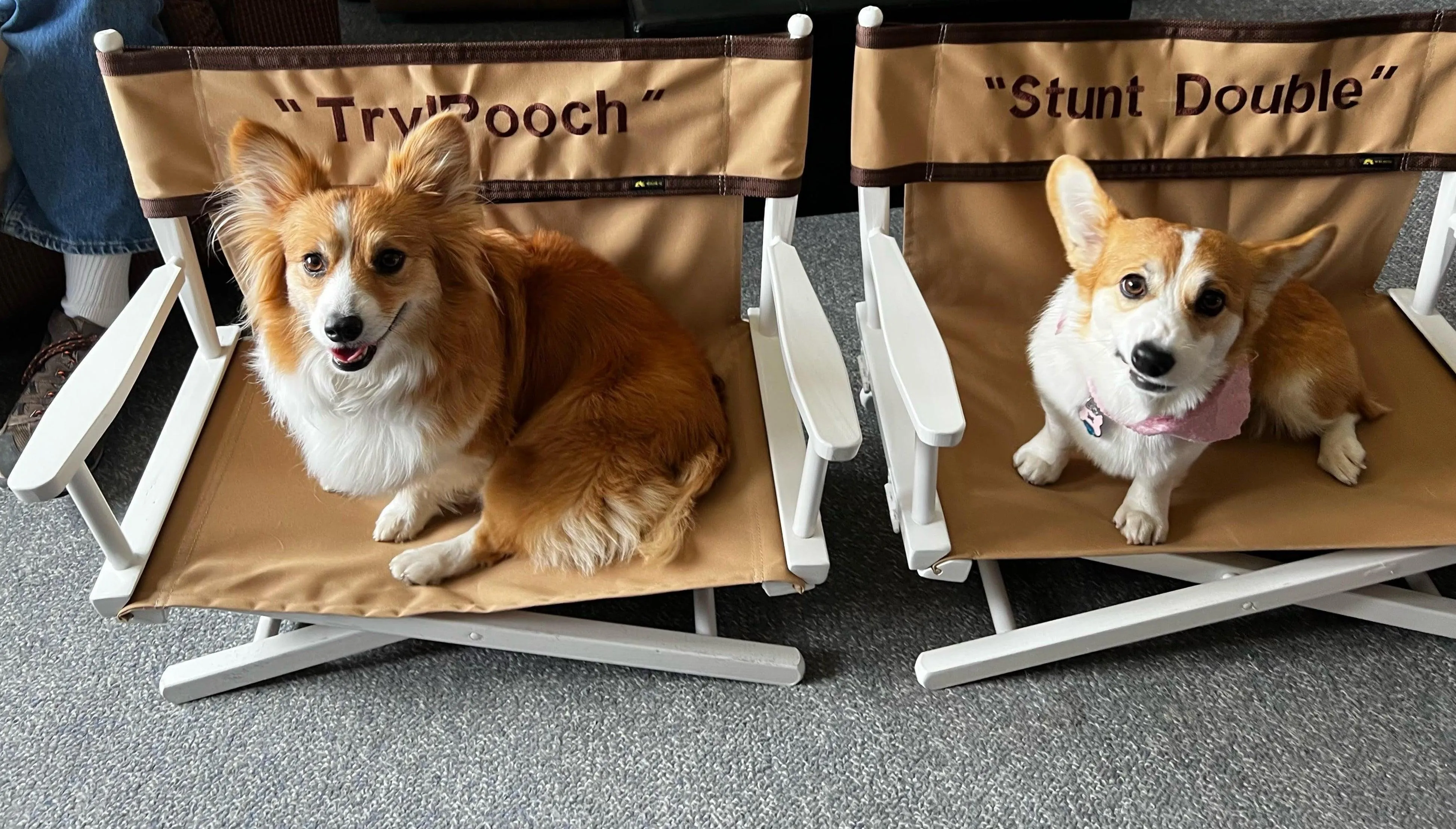 Pet Personalized Director's Chair