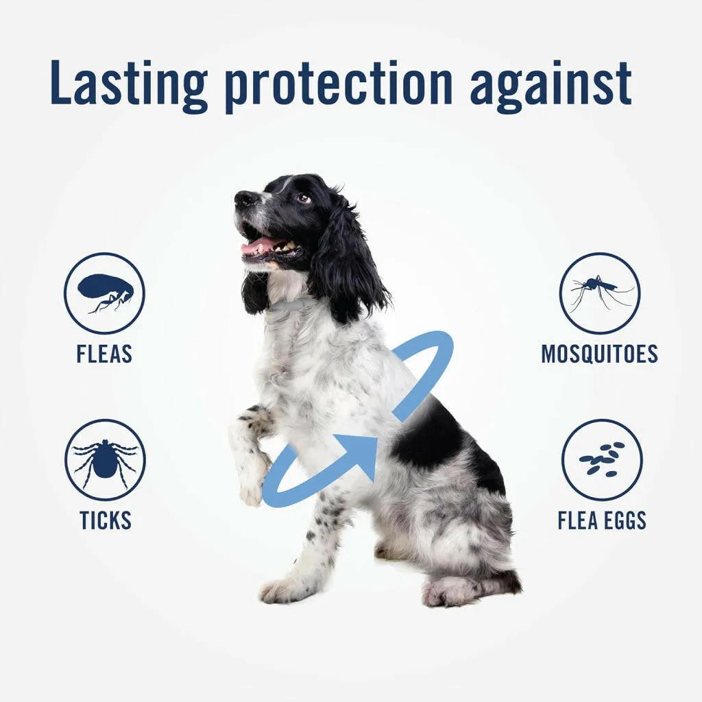 PetArmor Plus Flea & Tick Collar For Dogs