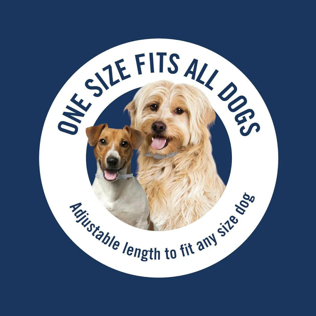 PetArmor Plus Flea & Tick Collar For Dogs