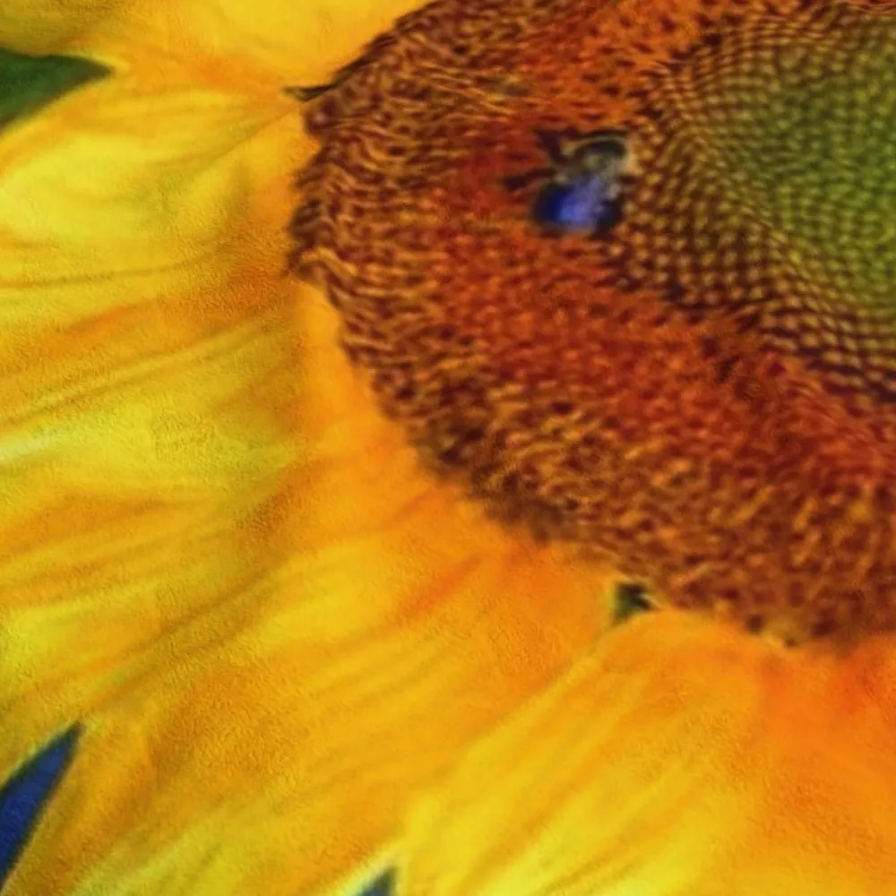 "Bee Sunny" Photographic, UltraPlush Blanket - 3 Size Options