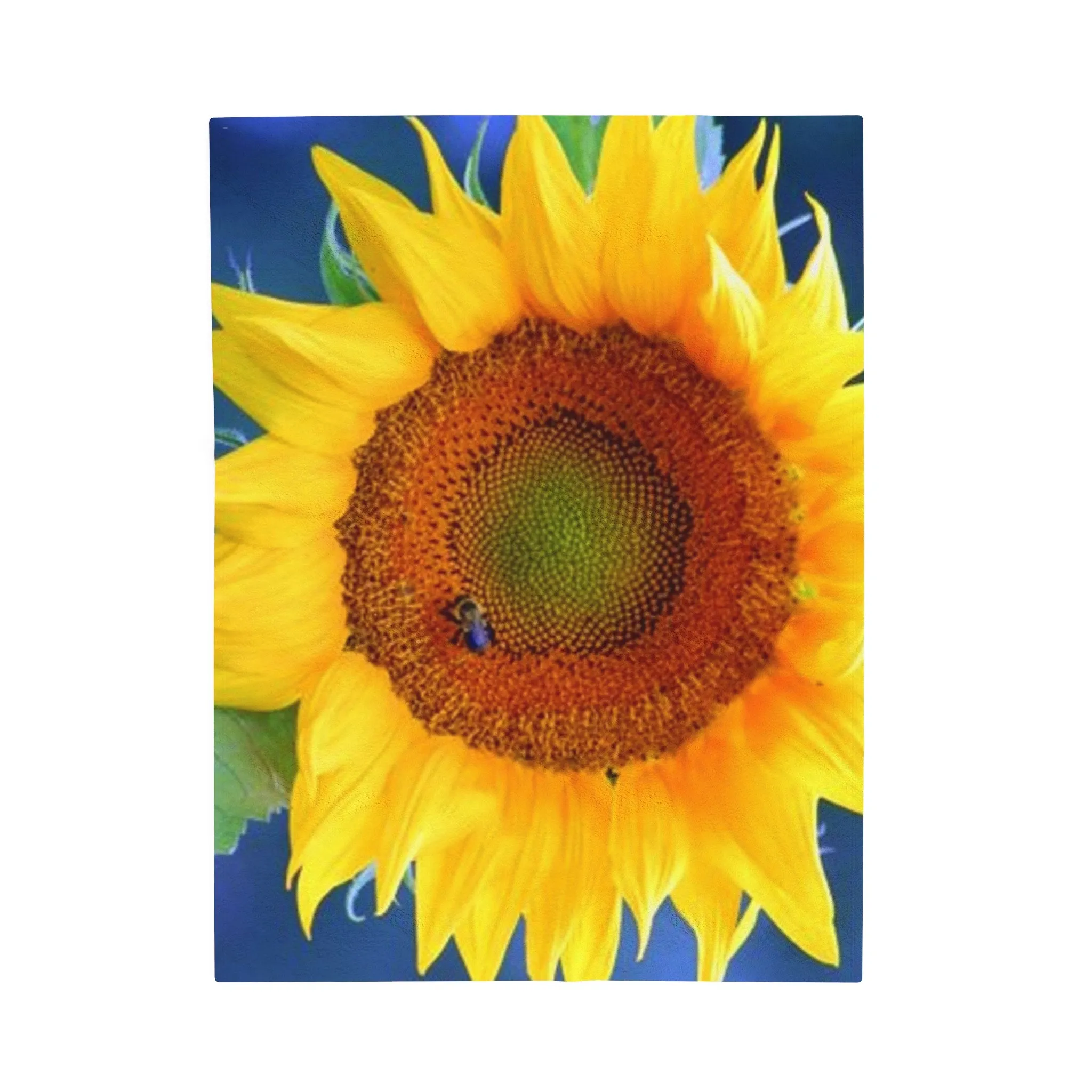 "Bee Sunny" Photographic, UltraPlush Blanket - 3 Size Options