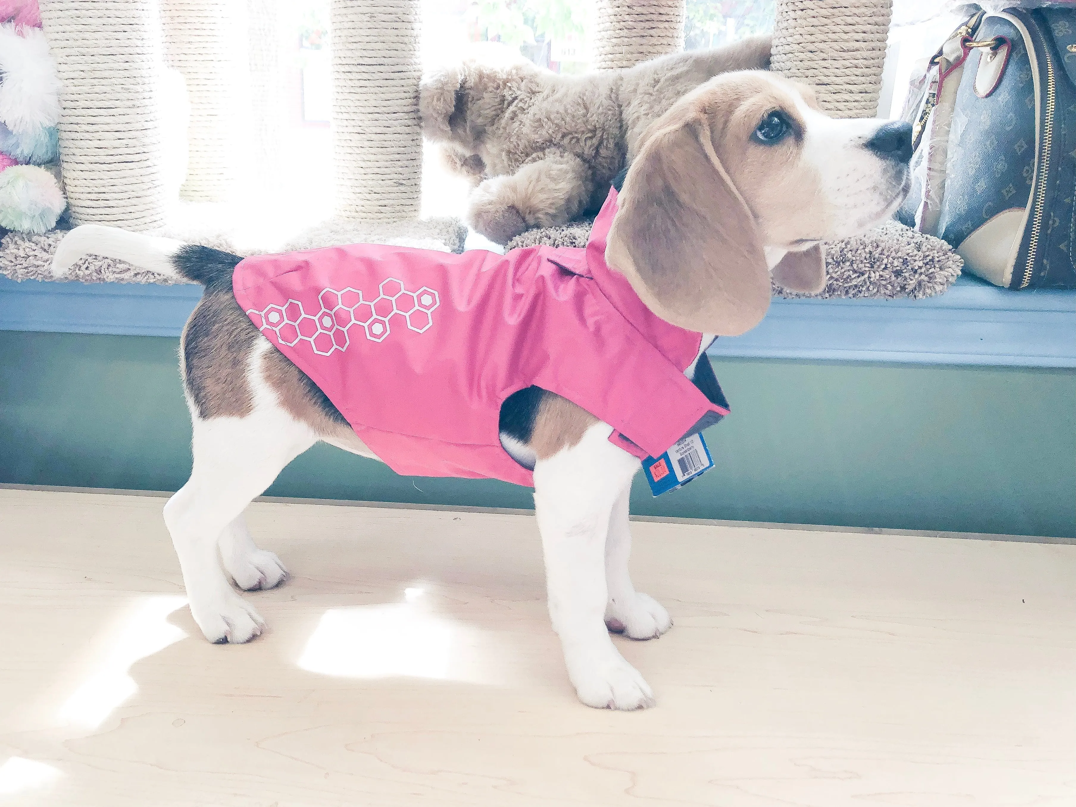 RC Pets Venture Rainwear Pink SALE