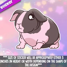 Skinny Pig- Spotted