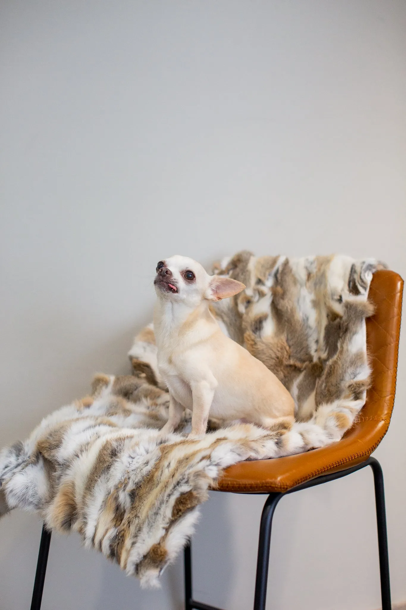 Small Rabbit Fur Throw
