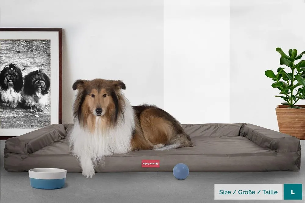 The Bench Orthopedic Memory Foam Dog Bed - Waterproof Grey
