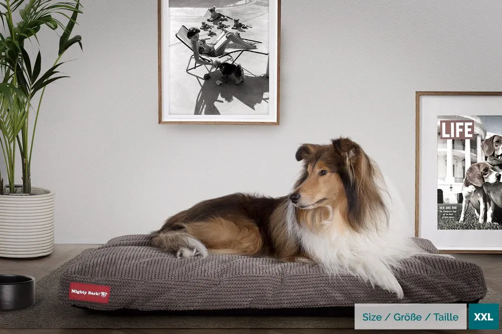 The Mattress Orthopedic Classic Memory Foam Dog Bed - Pom Pom Charcoal Grey