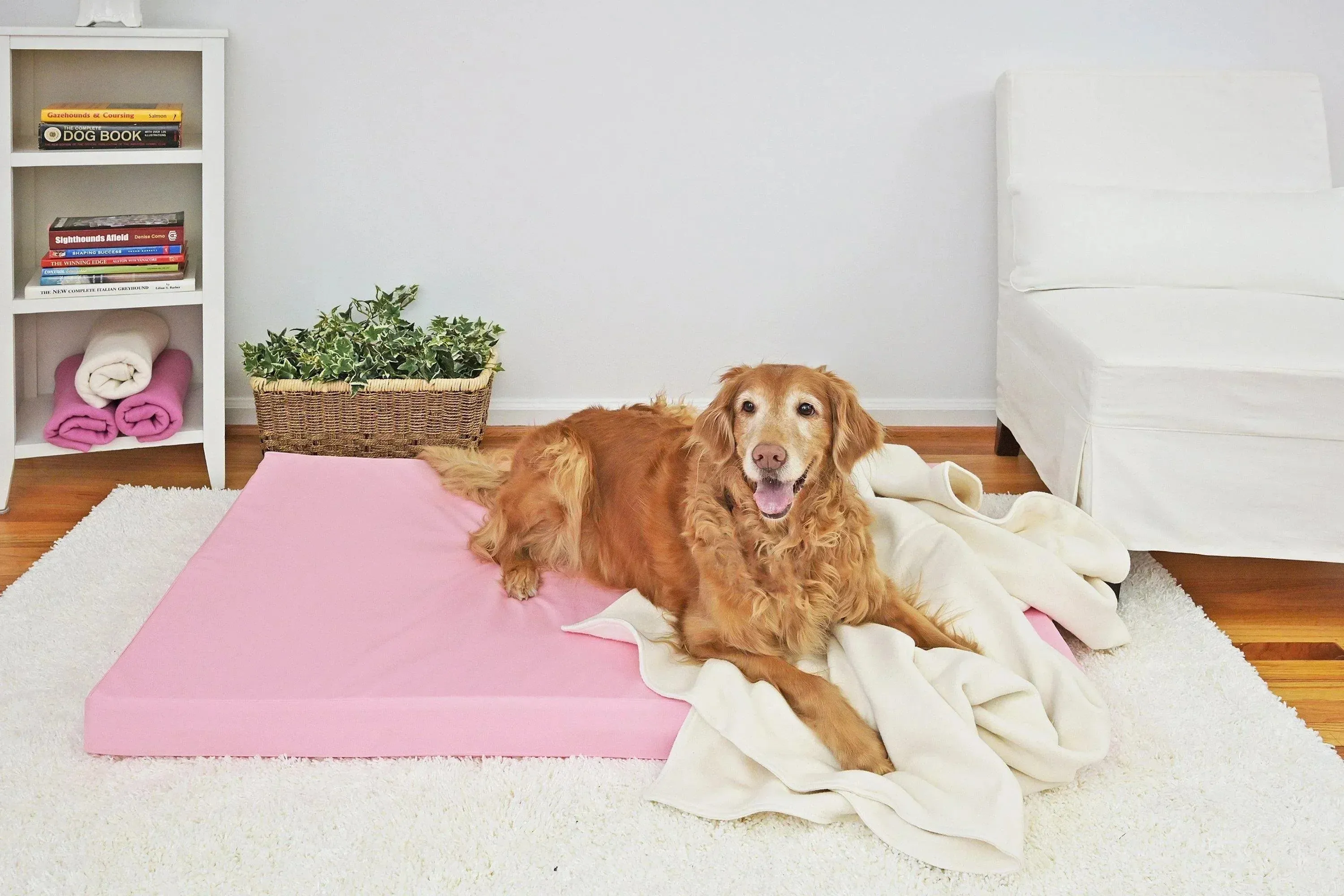 Vita Orthopedic Dog Bed, Pink