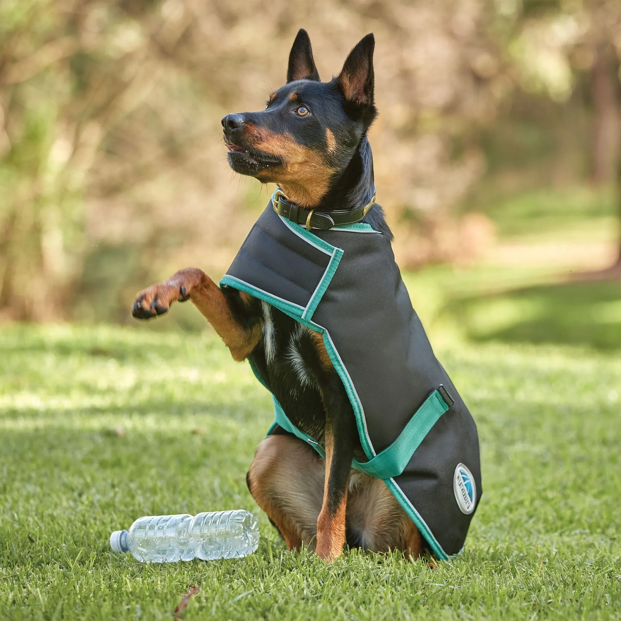 Weatherbeeta Green-Tec 900D Dog Coat