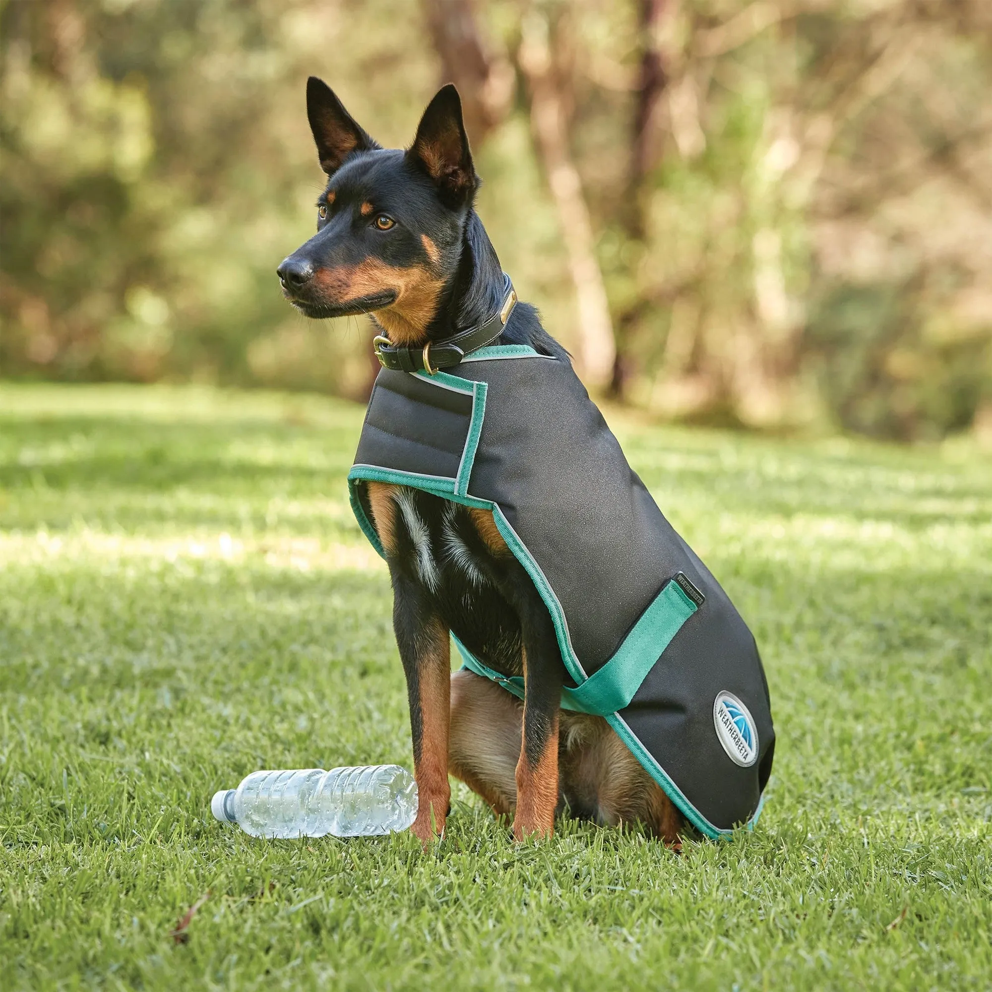 Weatherbeeta Green-Tec 900D Dog Coat