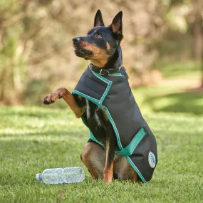 Weatherbeeta Green-Tec 900D Dog Coat